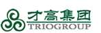 才高集团 (青岛公司)