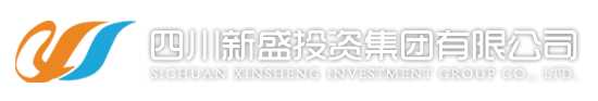 新盛投资 (成都公司)